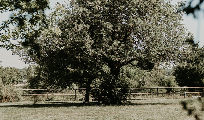 La Petite Motte - Séjours et programmes
